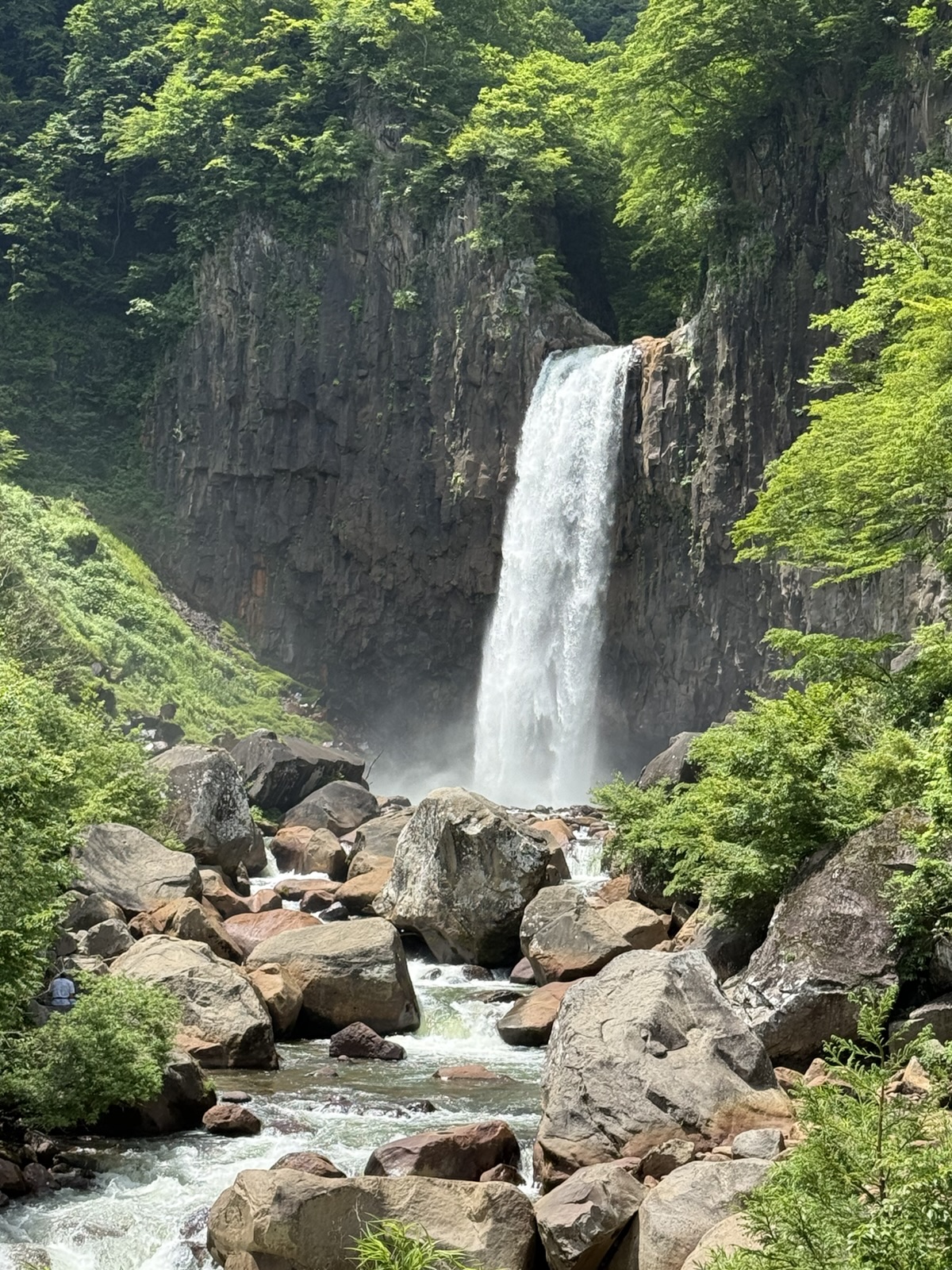 新緑の中を流れ落ちる滝