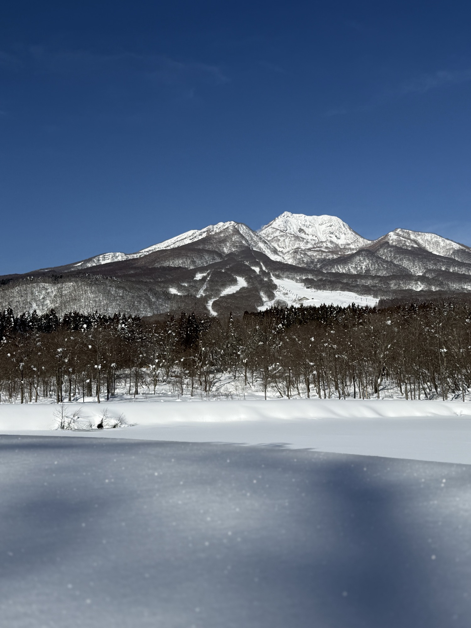 雪におおわれた妙高山とスキー場